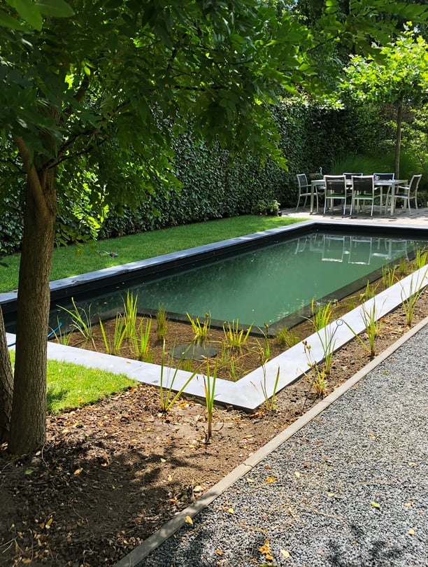 afgewerkte zwemvijver met terras en schaduwrijke tuin