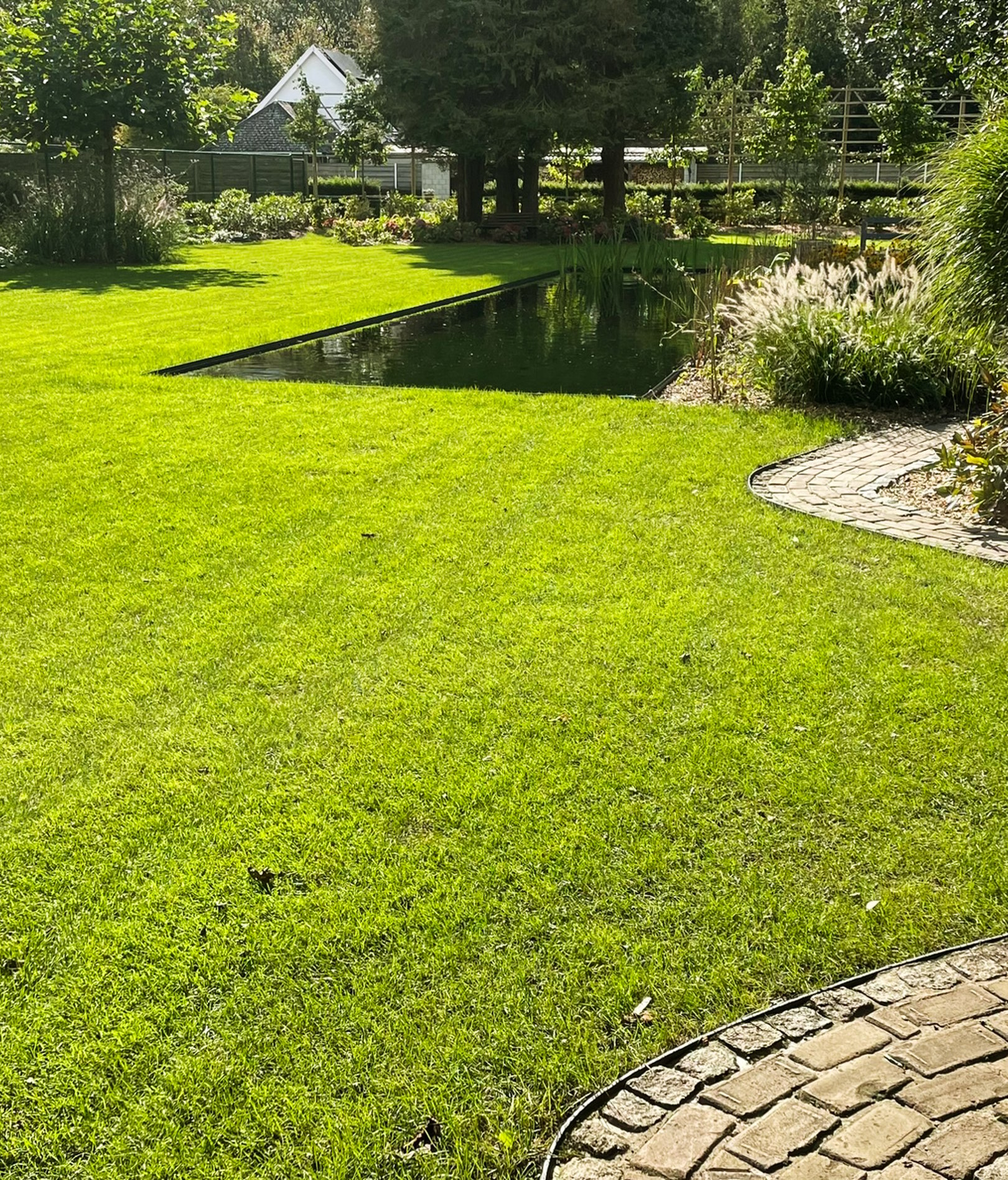 tuin met vijver en kleurrijke bloemenpracht