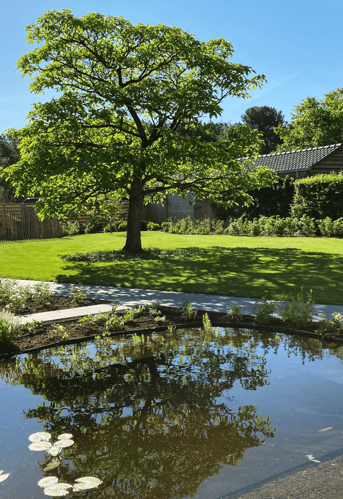 natuurlijke zwemvijver met boom en groene tuin