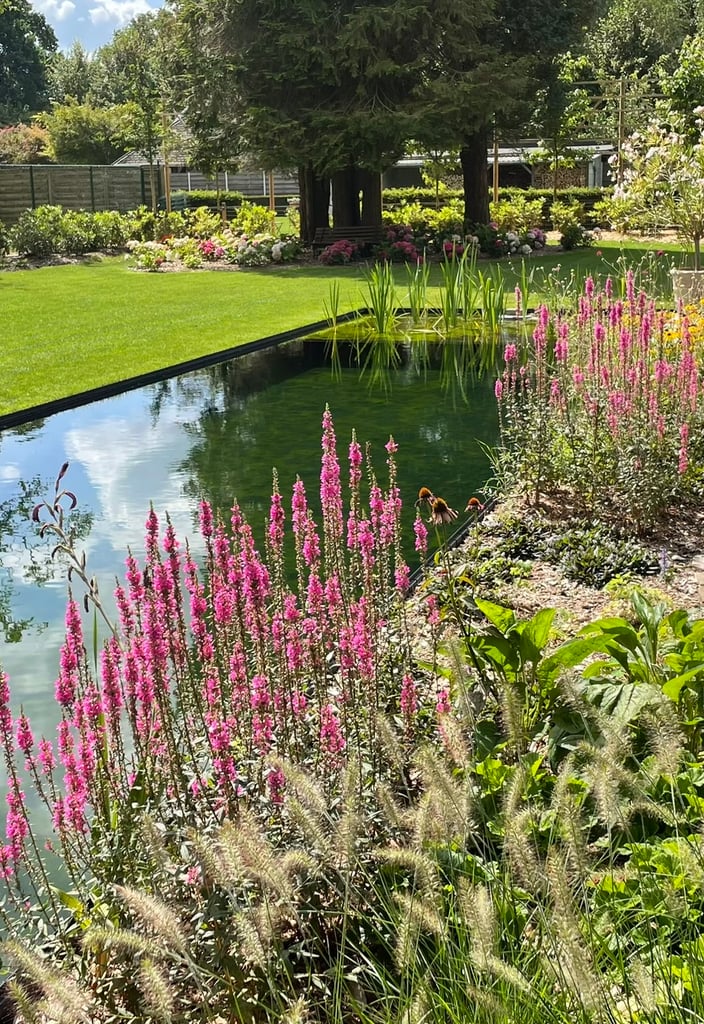 tuin met vijver en kleurrijke bloemenpracht