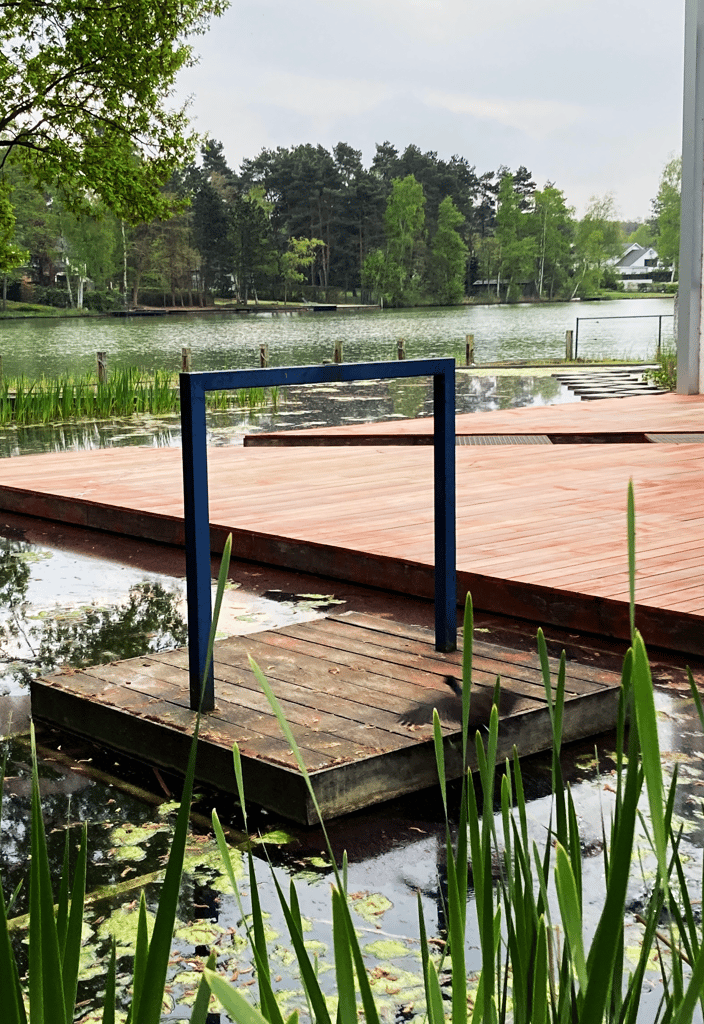 moderne zwemvijver met houten terras en uitzicht