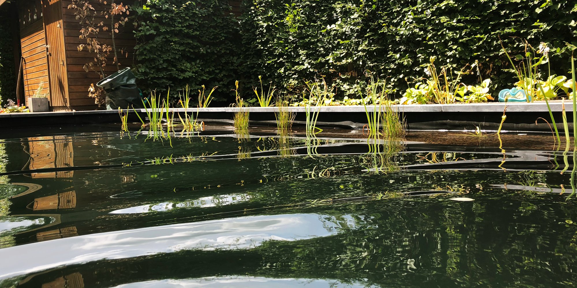 verwarmde zwemvijver met waterkringen en houten schuur