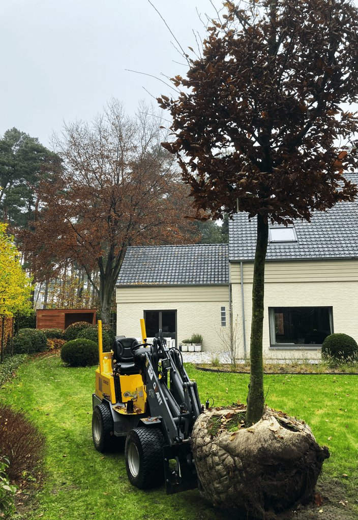 boomverplaatsing met kleine kraan bij aanplanting