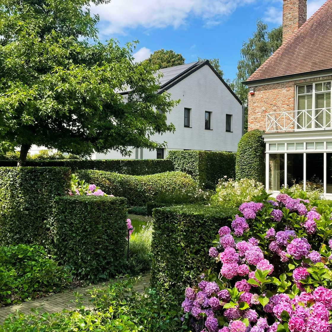 bloemenrijk erf met hagen en hortensia's
