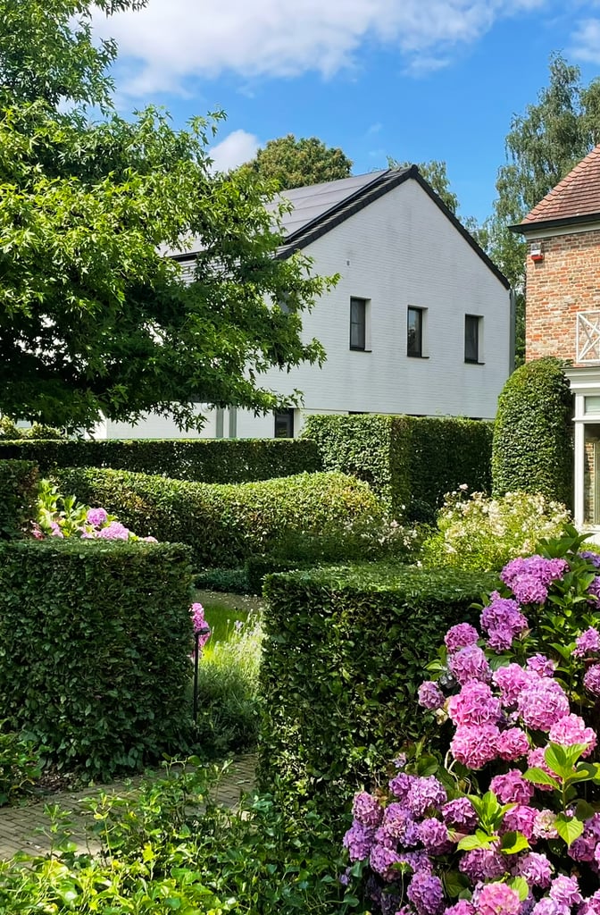 bloemenrijk erf met hagen en hortensia's