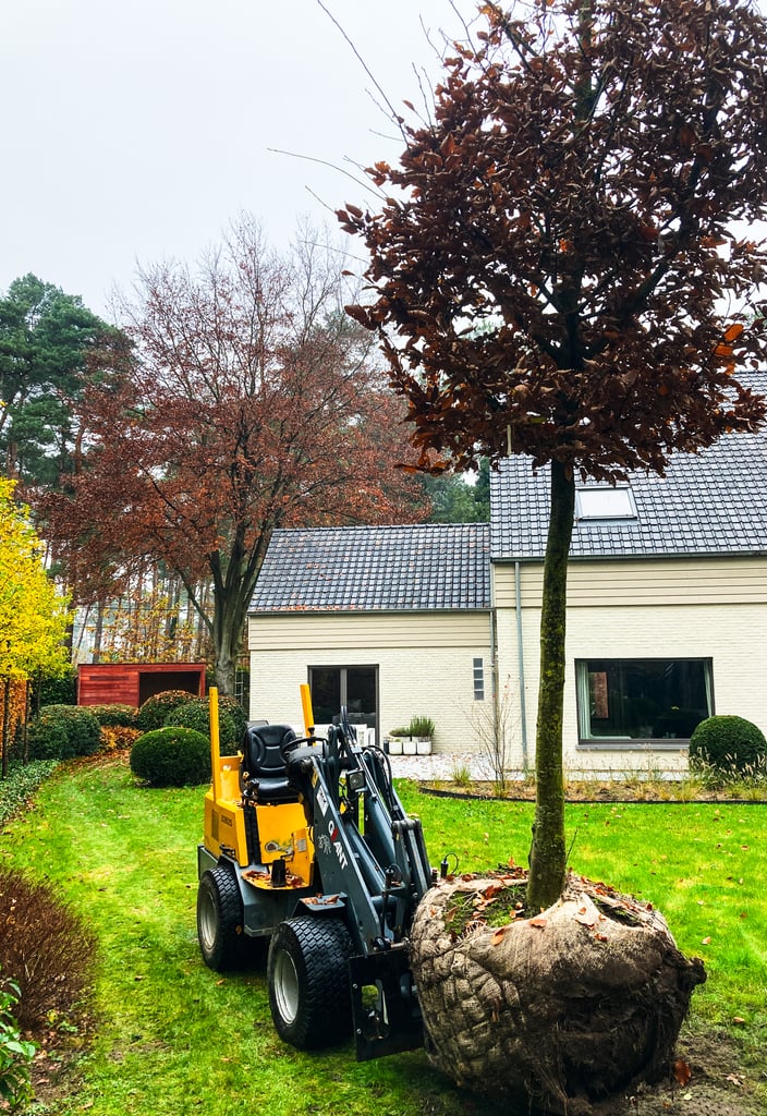 boomverplaatsing met kleine kraan bij aanplanting