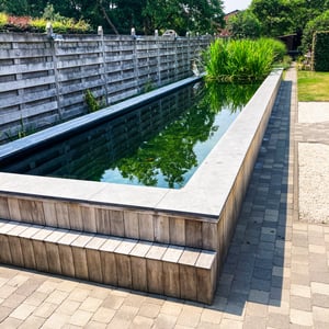 zwemvijver met houten afwerking en oeverplanten