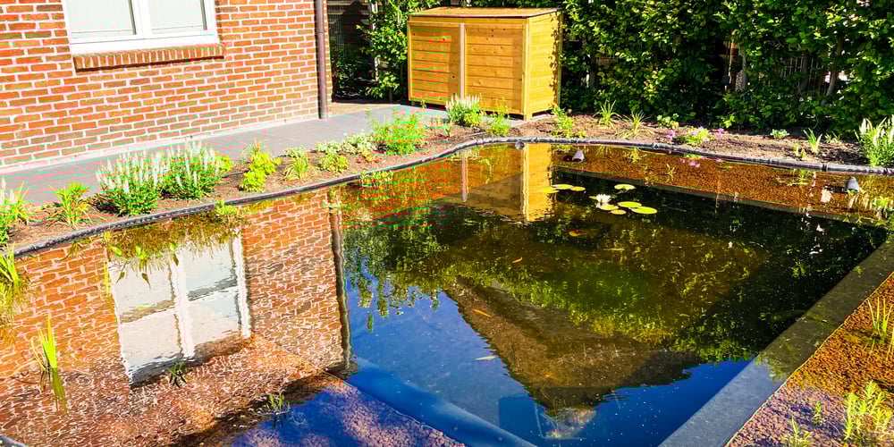 kleine zwemvijver met oeverplanten en opbergruimte