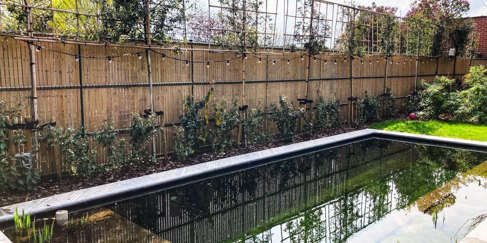 mini zwemvijver met bamboe schutting en klimplanten