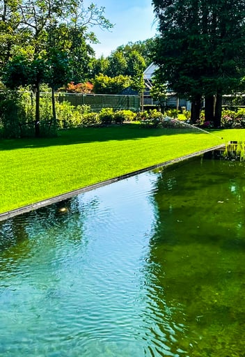 tuin met vijver en kleurrijke bloemenpracht
