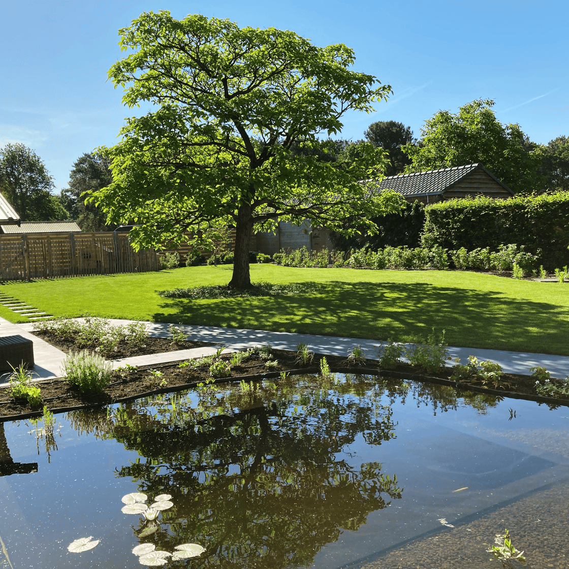 natuurlijke zwemvijver met boom en groene tuin