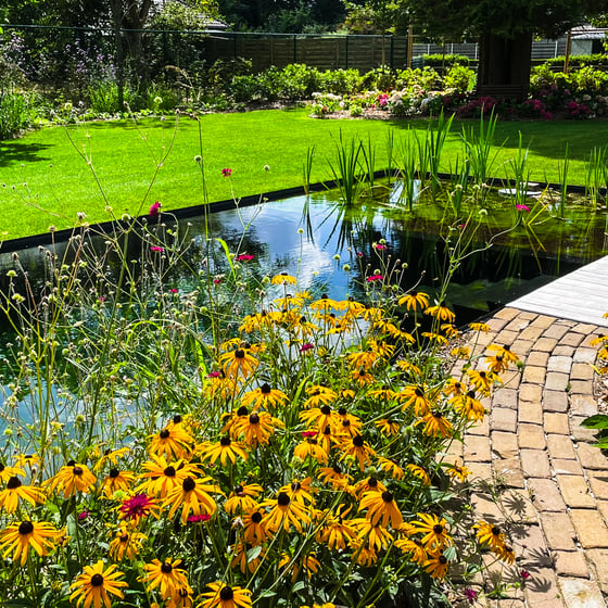 tuin met vijver en kleurrijke bloemenpracht