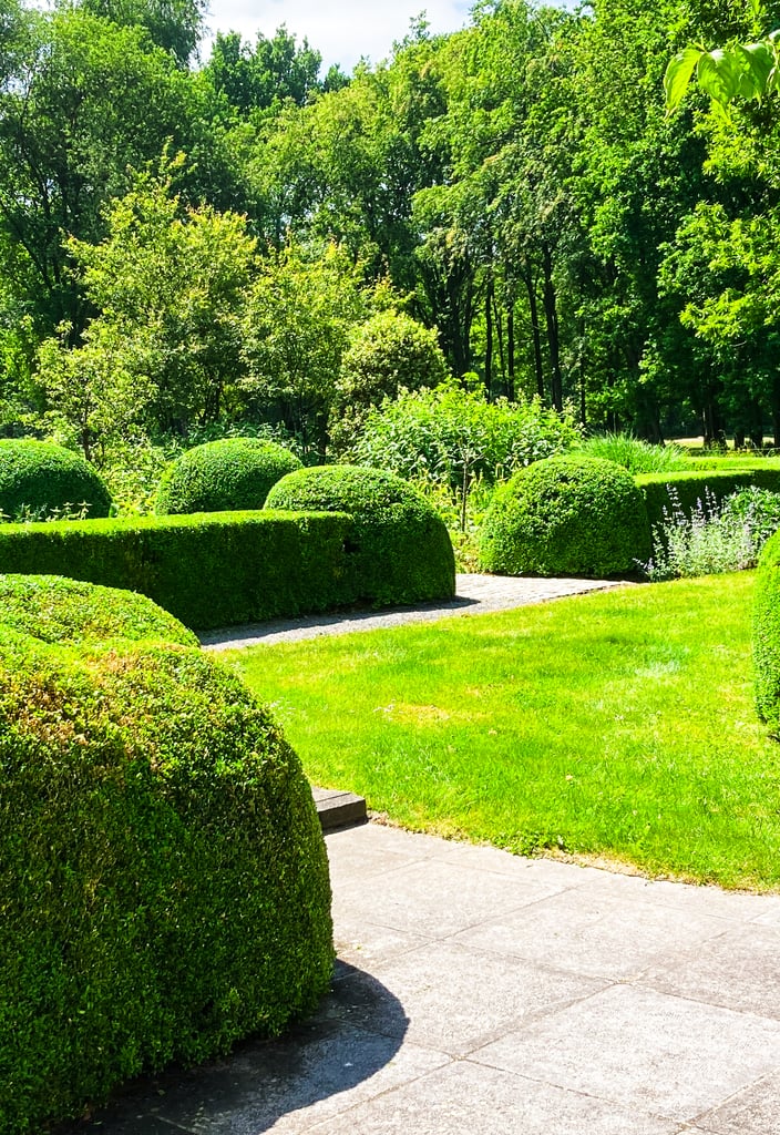 gesnoeide buxus hagen en tuinpad