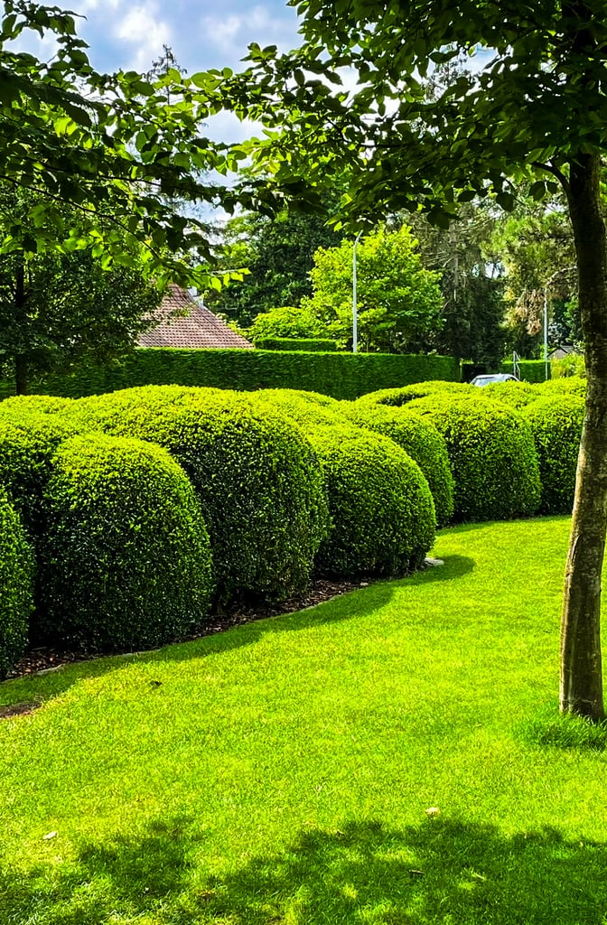landelijke tuin met bolvormige hagen en verzorgd gazon