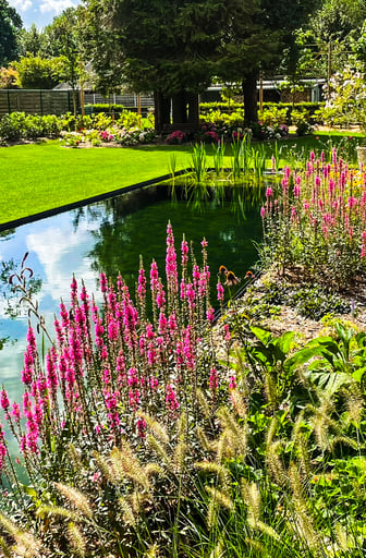 tuin met vijver en kleurrijke bloemenpracht