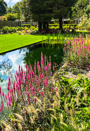 tuin met vijver en kleurrijke bloemenpracht