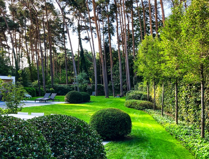 gestructureerde aanplanting bomen en hagen