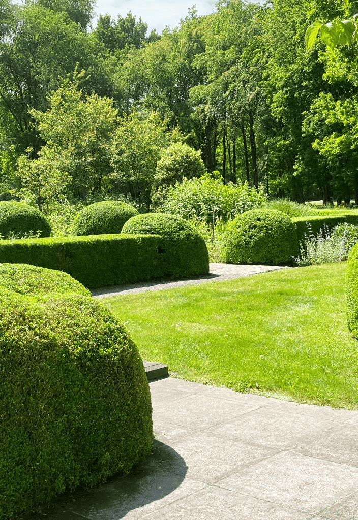 gesnoeide buxus hagen en tuinpad