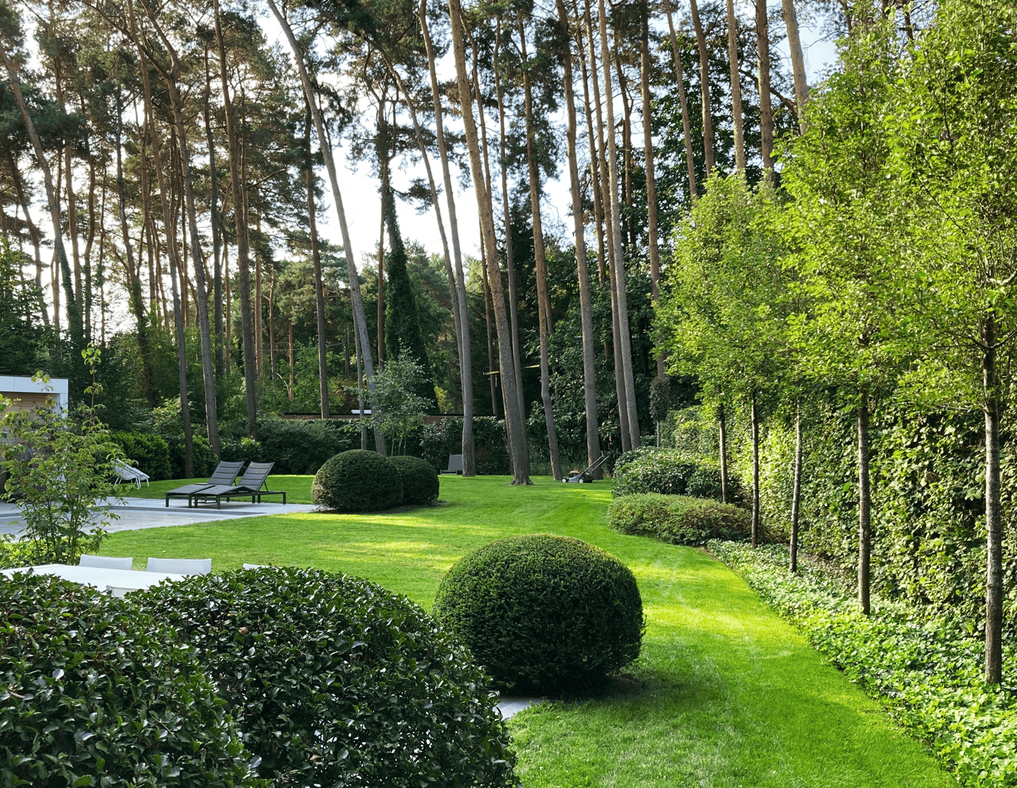gestructureerde aanplanting bomen en hagen