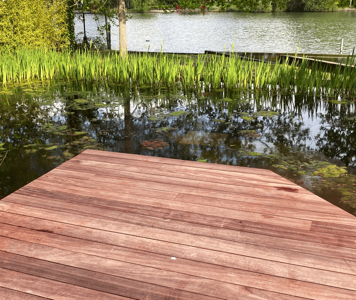moderne zwemvijver met houten terras en uitzicht