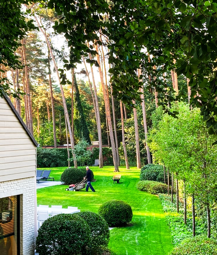 grasmaaien in schaduwrijke tuin