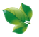 grande-flora logo m