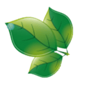 grande-flora logo m