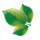 grande-flora logo m