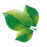 grande-flora logo m