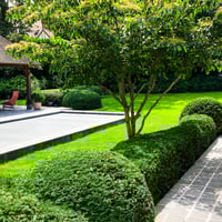 landelijke tuin met zwembad terras en overkapping