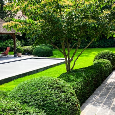 landelijke tuin met zwembad terras en overkapping