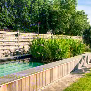 houten tuinafsluiting bij zwemvijver met oeverplanten