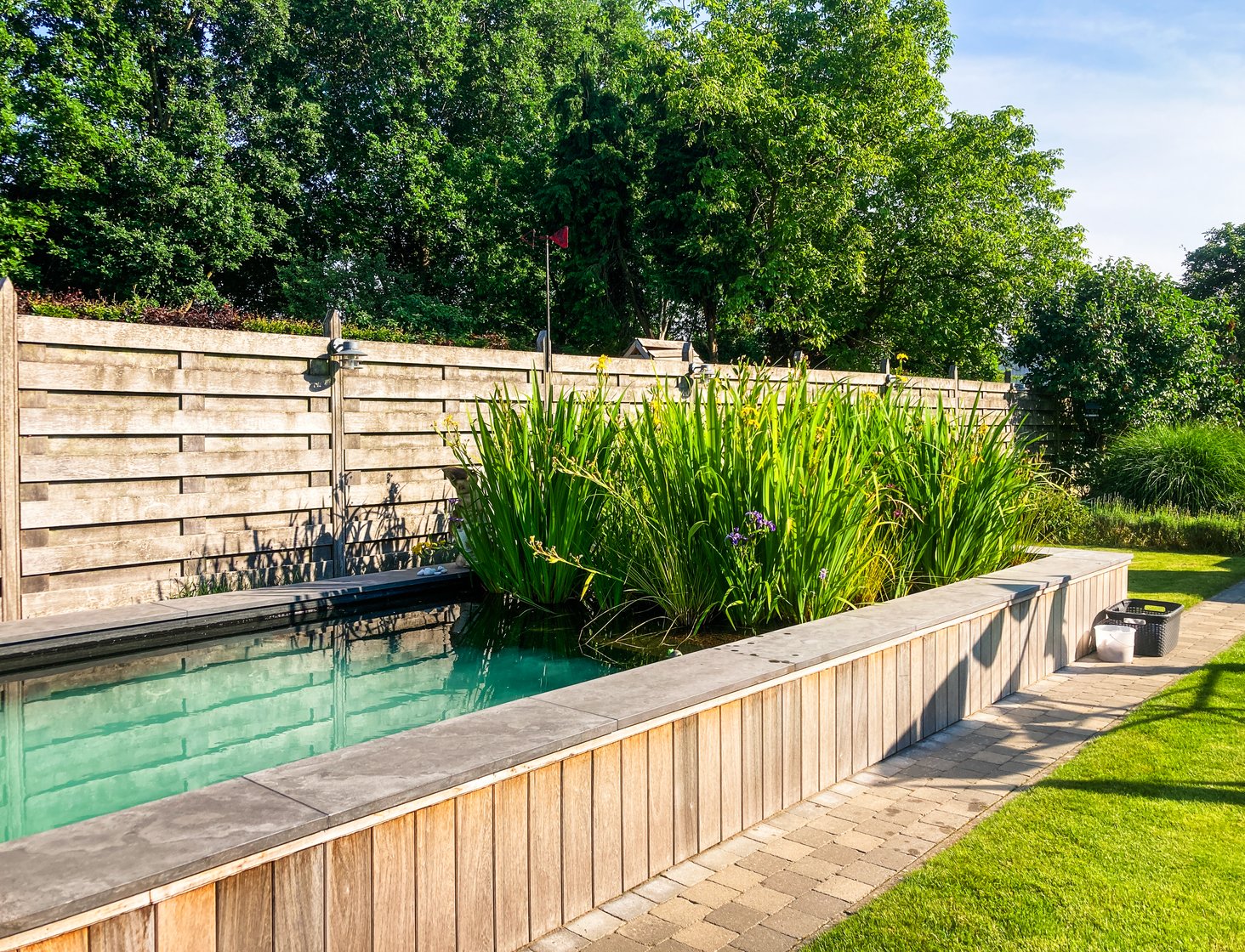 houten tuinafsluiting bij zwemvijver met oeverplanten