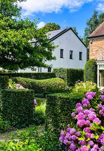 bloemenrijk erf met hagen en hortensia's