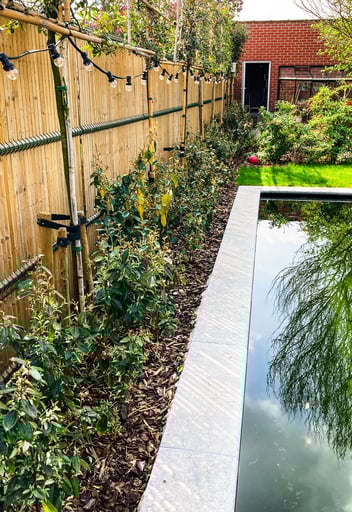 natuurlijke afsluiting met klimplanten en zwemvijver