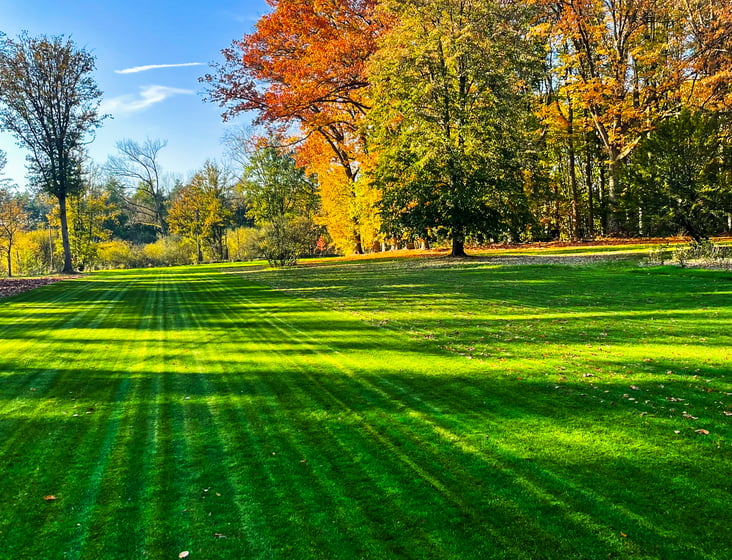 herfstlandschap met groen gazon