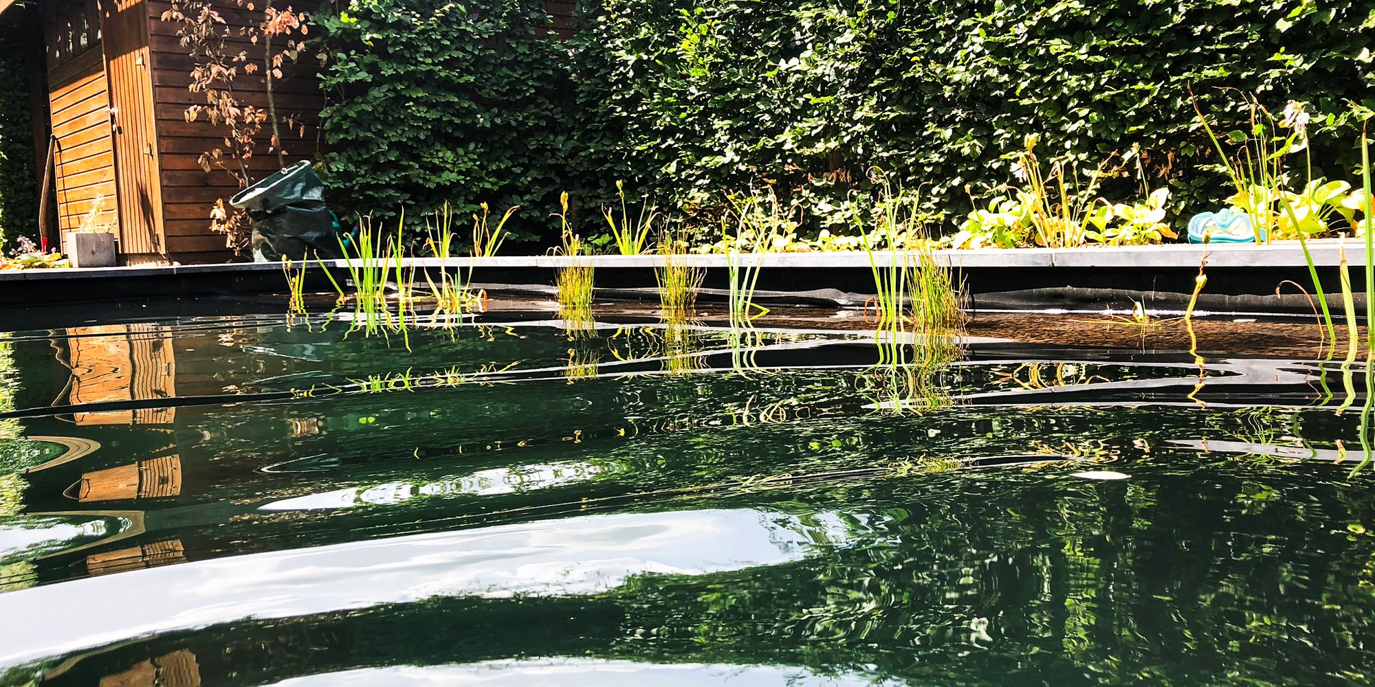 verwarmde zwemvijver met waterkringen en houten schuur