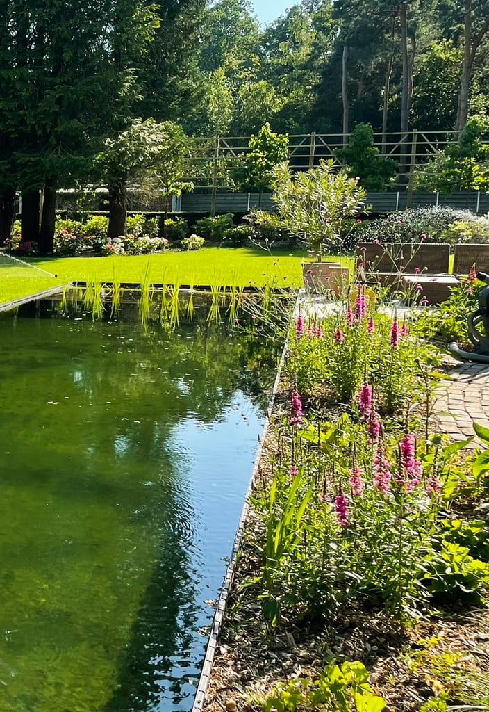 tuin met vijver en kleurrijke bloemenpracht