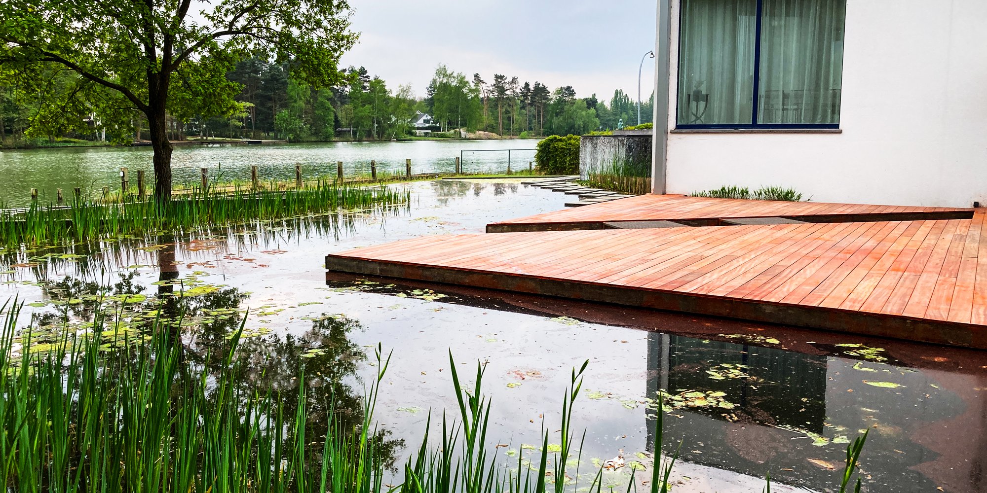 moderne zwemvijver met houten terras en uitzicht