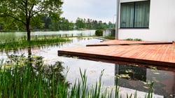moderne zwemvijver met houten terras en uitzicht