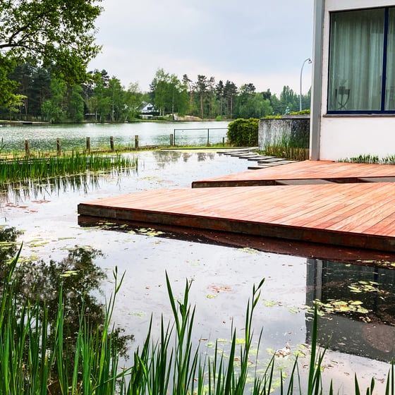moderne zwemvijver met houten terras en uitzicht