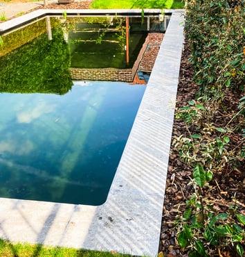 mini zwemvijver natuursteen rand achtertuin plantenborder