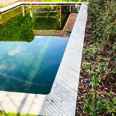 mini zwemvijver natuursteen rand achtertuin plantenborder