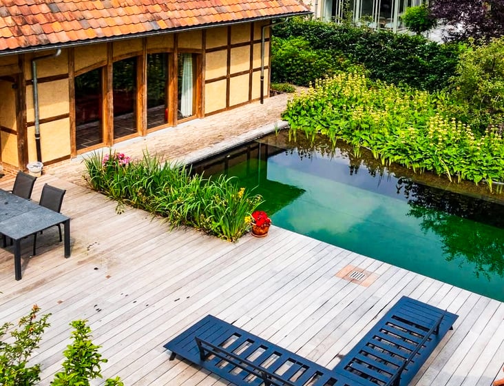 ecologische zwemvijver en landelijk terras