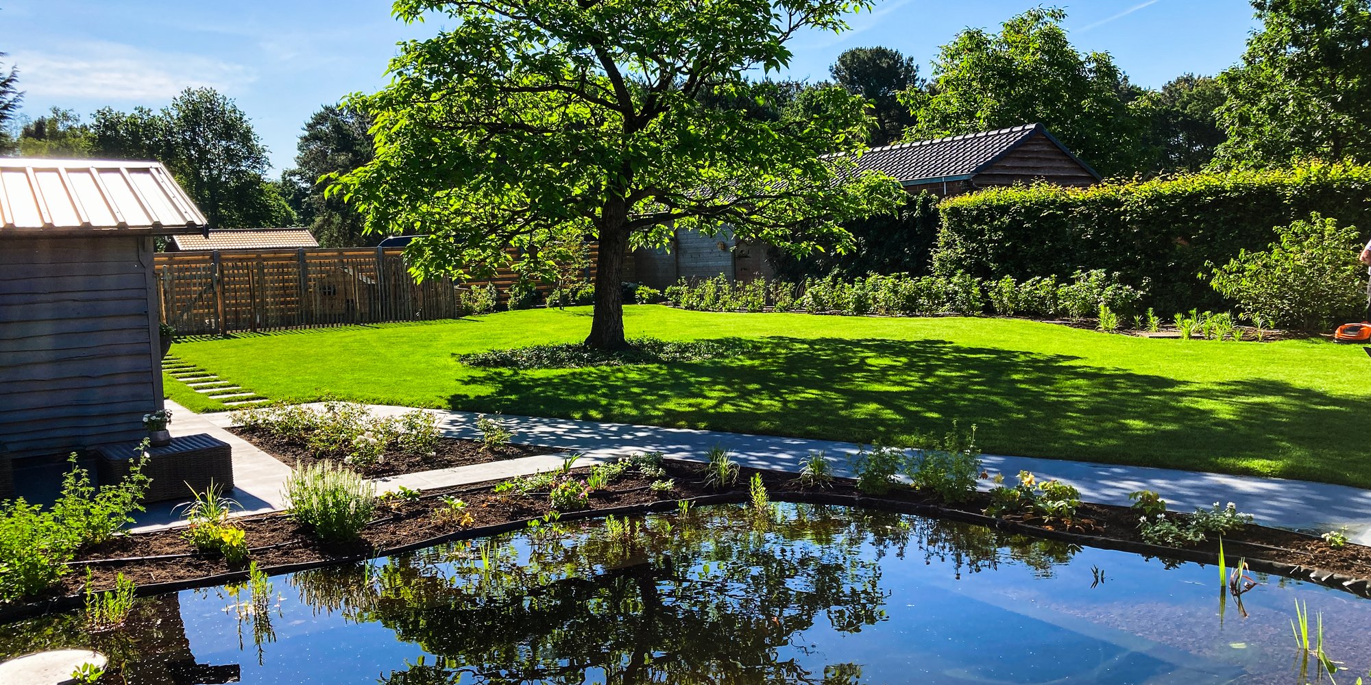 natuurlijke zwemvijver met boom en groene tuin