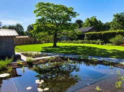 natuurlijke zwemvijver met boom en groene tuin