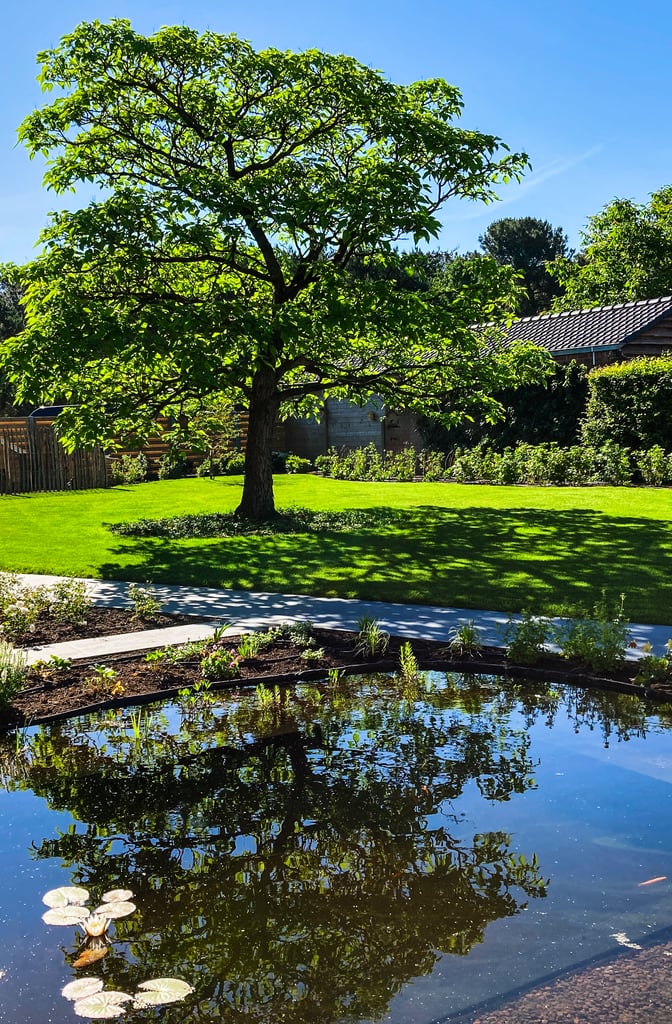 natuurlijke zwemvijver met boom en groene tuin