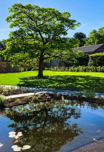 natuurlijke zwemvijver met boom en groene tuin