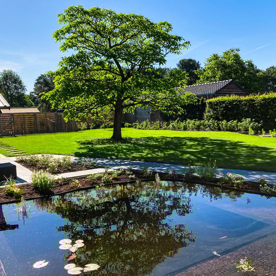 natuurlijke zwemvijver met boom en groene tuin