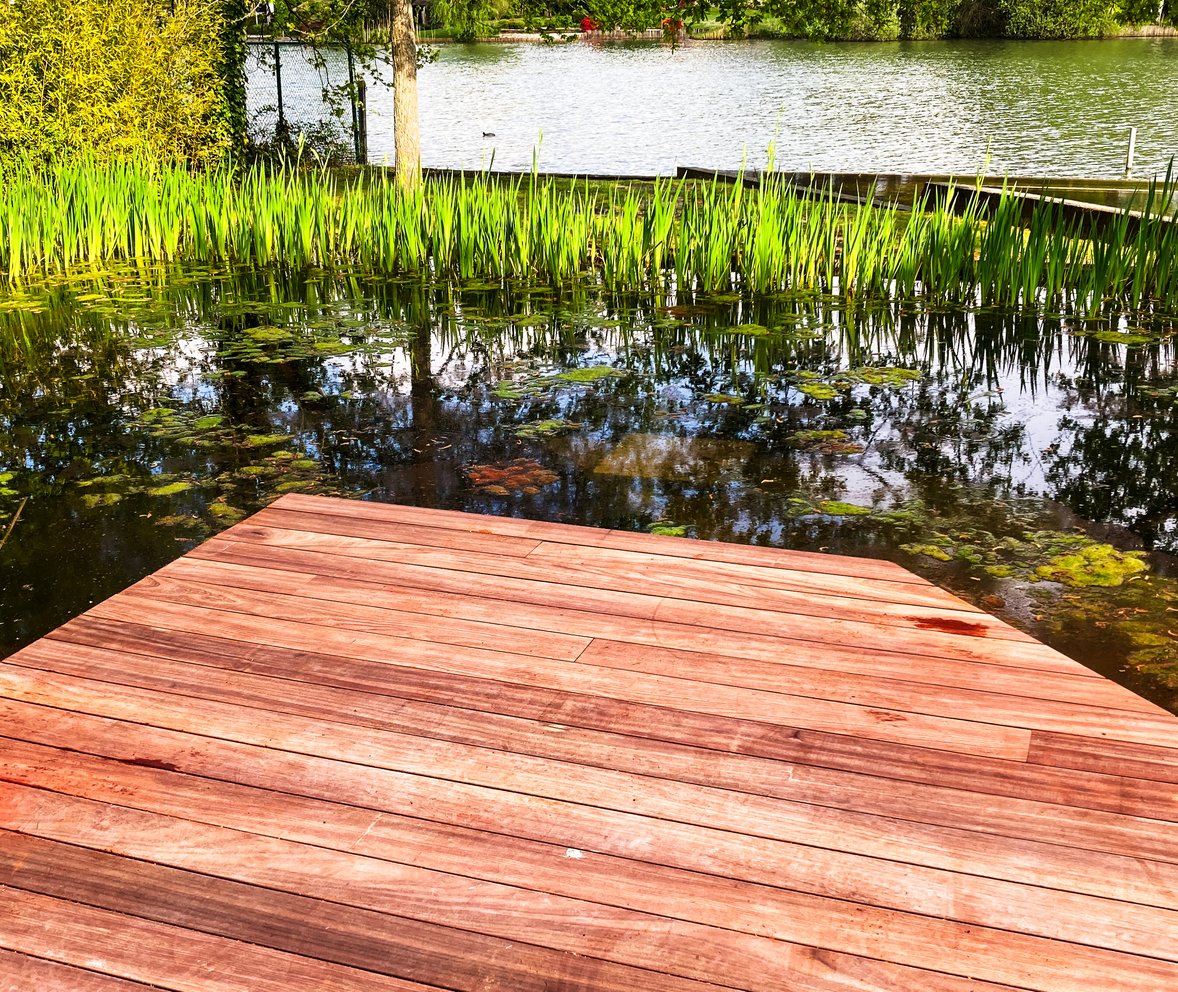moderne zwemvijver met houten terras en uitzicht